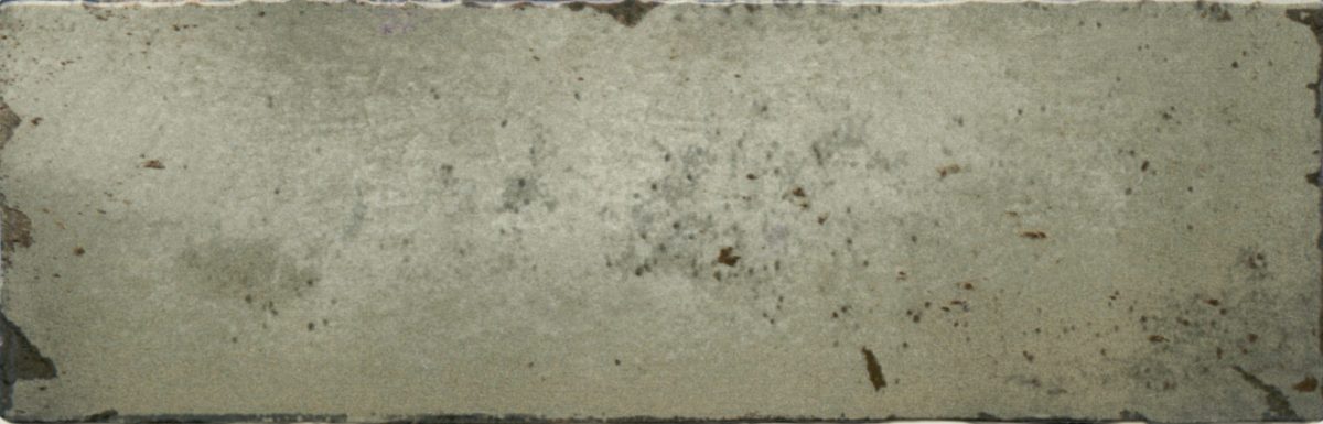 MVG-1198-Amazonia-Moss-w-scaled AMAZONIA MOSS (65x200mm) - Image 1