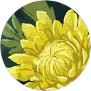Janine Schmitt profile picture